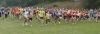 Start2009